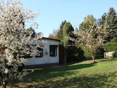 Blick auf dei linke Seite des Bungalow mit blühenden Obstbäumen.